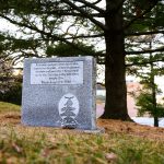 Peace Tree and marker Autumn 2021
