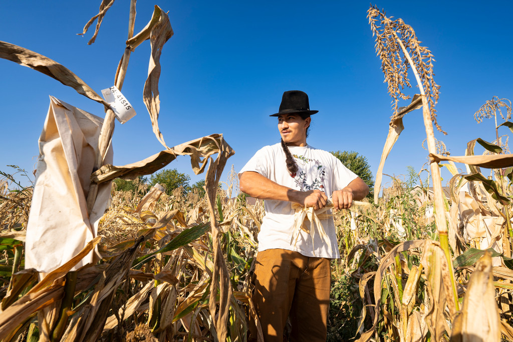 UW–Madison, Ho-Chunk partner to increase seed stock of corn through traditional methods